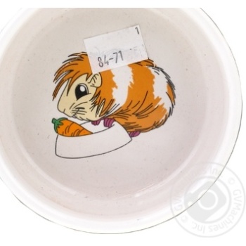 Bowl Trixie ceramic 300ml - buy, prices for MegaMarket - photo 1