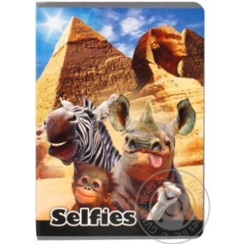 notebook beniamin 60pages a5 - buy, prices for - photo 1