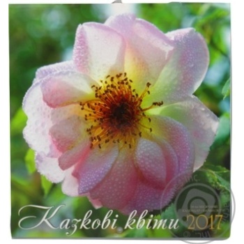 Calendar - buy, prices for MegaMarket - photo 1
