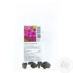 Anemone Sylphide Bulbotuber 5pcs