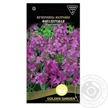 Насіння Golden Garden Квіти Вечірниця Матрони фіолетова 0,5г