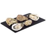 ostreidae fin de claire №4