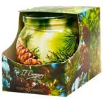 Miral Needles Candle in Glass