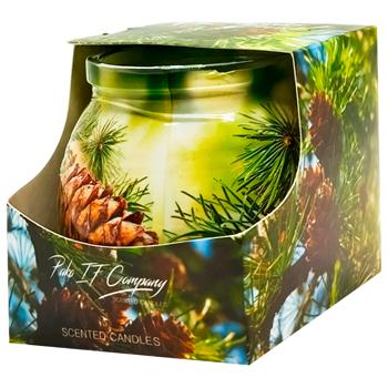 Miral Needles Candle in Glass - buy, prices for Vostorg - photo 1