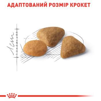 Корм сухой Royal Canin Savour Exigent с домашней птицей для прихотливых кошек 10кг - купить, цены на MasterZoo - фото 4