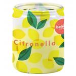 Bolsius Citronella Сandle 82/68