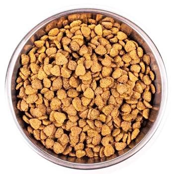 Корм сухий Monge Indoor з куркою для домашніх котів 1,5кг - купити, ціни на MasterZoo - фото 2
