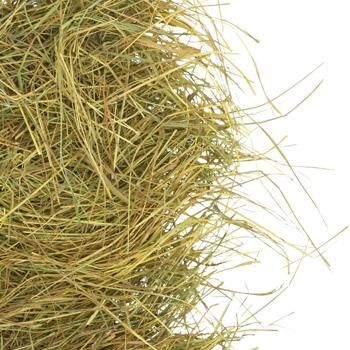 Мій Пухнастик відбірне сіно для гризунів 2 кг - купити, ціни на MasterZoo - фото 4