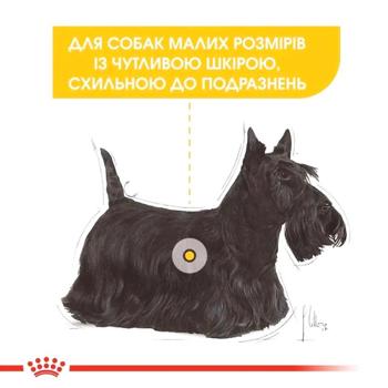 Royal Canin Mini Dermacomfort cухий корм для собак 3 кг - купити, ціни на MasterZoo - фото 4