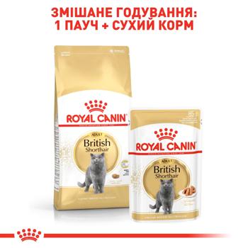 Корм сухой Royal Canin с домашней птицей для взрослых кошек породы британская короткошерстная 4кг + наполнитель Catsan 5л - купить, цены на MasterZoo - фото 6