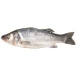 Seabass 200-300g