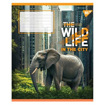 Зошит Yes The Wild in The City клітинка А5 24 аркуші - купити, ціни на NOVUS - фото 3