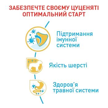 Cухий корм для цуценят Royal Canin Poodle Puppy 500 г - купити, ціни на MasterZoo - фото 3