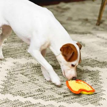 Outward Hound Invincibles Minis Chicky Dog Toy with Squeaker 20cm - buy, prices for MasterZoo - photo 3