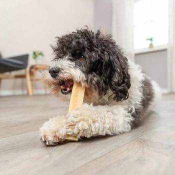 Ласощі для собак Trixie Chewing Паличка M 13,5 см / 75 г - сир - купити, ціни на MasterZoo - фото 7