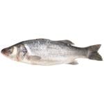 Seabass 300-400g