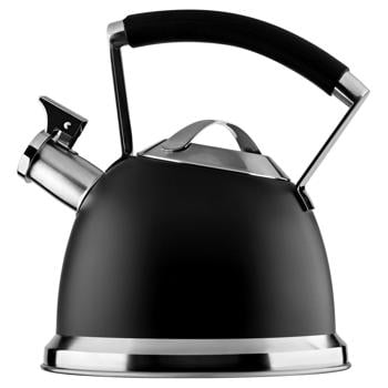 Чайник Ardesto Black Mars 2,5л