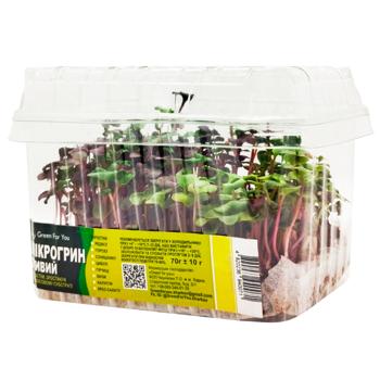 Growing Live Microgreen 70g - buy, prices for - photo 3