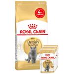 Набір корму Royal Canin Adult для котів породи британська короткошерста cухий 2кг + вологий 4шт х 85г