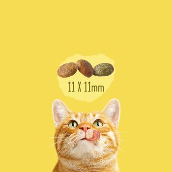 Friskies Indoor Dry Food with Chicken, Turkey and Vegetables for Indoor Cats 1.5kg - buy, prices for ULTRAMARKET - photo 5