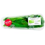 Osio Organic Organic Spinach 50g