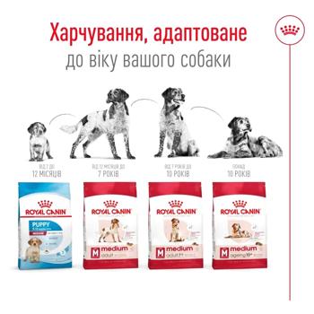 Корм сухой Royal Canin Adult для собак средних пород 3,2+800г - купить, цены на MasterZoo - фото 6