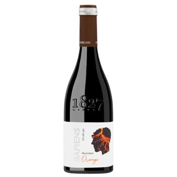 Вино Purcari Sapiens Rkatsiteli Orange белое сухое 13% 0,75л - купить, цены на NOVUS - фото 1
