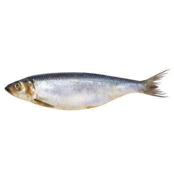 Mildly Salted Herring 400+ - buy, prices for Chudo Market - photo 1