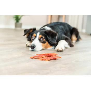 Trixie Premio Ducky Stripes Dog Snack with Duck 100g - buy, prices for MasterZoo - photo 5