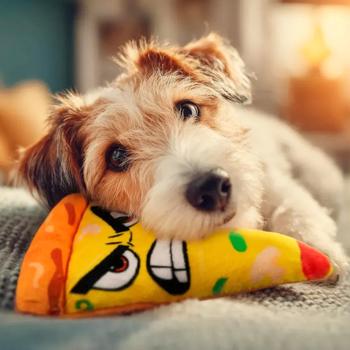 Waudog Fun Plush Піца іграшка для собак 16х22,5 см - різнокольоровий - купити, ціни на MasterZoo - фото 2