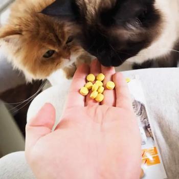 Ласощі для котів GimCat Kase-Rollis з сиром 425г - купити, ціни на MasterZoo - фото 3