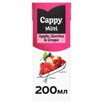 Cappy Mini Berries-Grapes-Apple Nectar 200ml