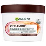 Cream Garnier cocoa for dry and sensitive skin 380ml Germany