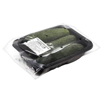 Short-fruited Cucumbers 450g