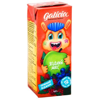 Сік Galicia ягідний із м'якоттю 200мл - купити, ціни на AlcoHub - фото 1