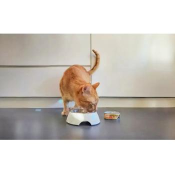 Comfy Appetit Premium Wet Food with Turkey for Cats 85g - buy, prices for MasterZoo - photo 4
