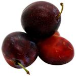 Ukrainian Plum