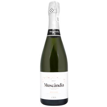 Вино игристое Muscandia Balsam Brut Eco белое брют 11.5% 0,75л - купить, цены на WINETIME - фото 1
