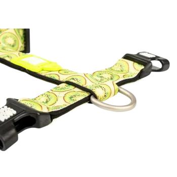 Leash Max and molly Germany - buy, prices for MasterZoo - photo 3