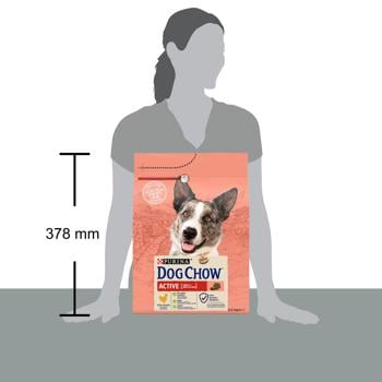 Dog Chow Active 1+ Dry Food with Сhicken for Active Dogs of All Breeds 2.5kg - buy, prices for MasterZoo - photo 4