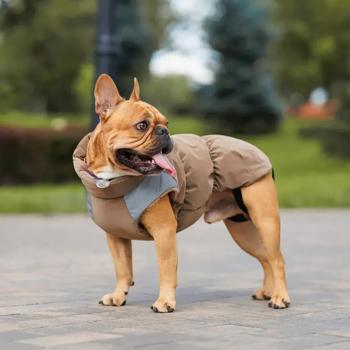 Pet Fashion Chip Vest for Dogs s.S2 dachshund - buy, prices for MasterZoo - photo 7