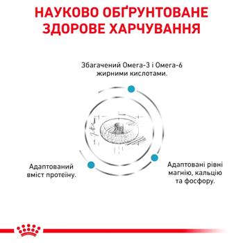 Корм сухой Royal Canin Skin & Coat для поддержания здоровья кожи у кошек 1,5кг - купить, цены на MasterZoo - фото 3