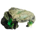 Decoration Masterzoo for terrarium China