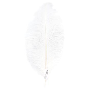 Ostrich Feathers 40-45cm 1pc in Assortment - buy, prices for ULTRAMARKET - photo 4