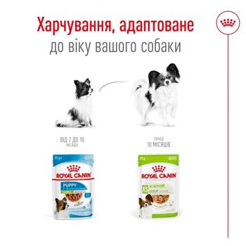 Dog food Royal canin 85g pouch France - buy, prices for MasterZoo - photo 4