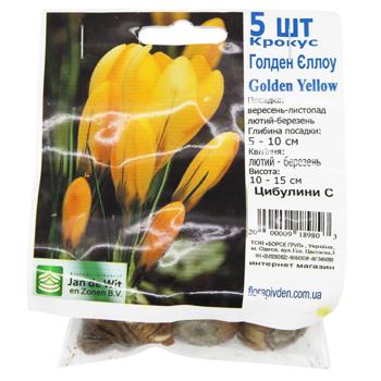 Onion C - buy, prices for COSMOS - photo 2