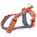 Leash Trixie