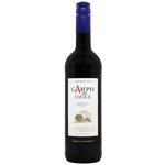 Campo de Chile Merlot Red Dry Wine 13% 0.75l