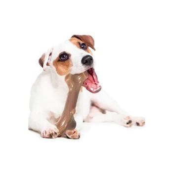 Іграшка для собак Petstages Liver Branch 14.5 см - купити, ціни на MasterZoo - фото 3