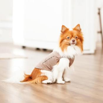 Pet Fashion Kale борцівка для собак XS - купити, ціни на MasterZoo - фото 4